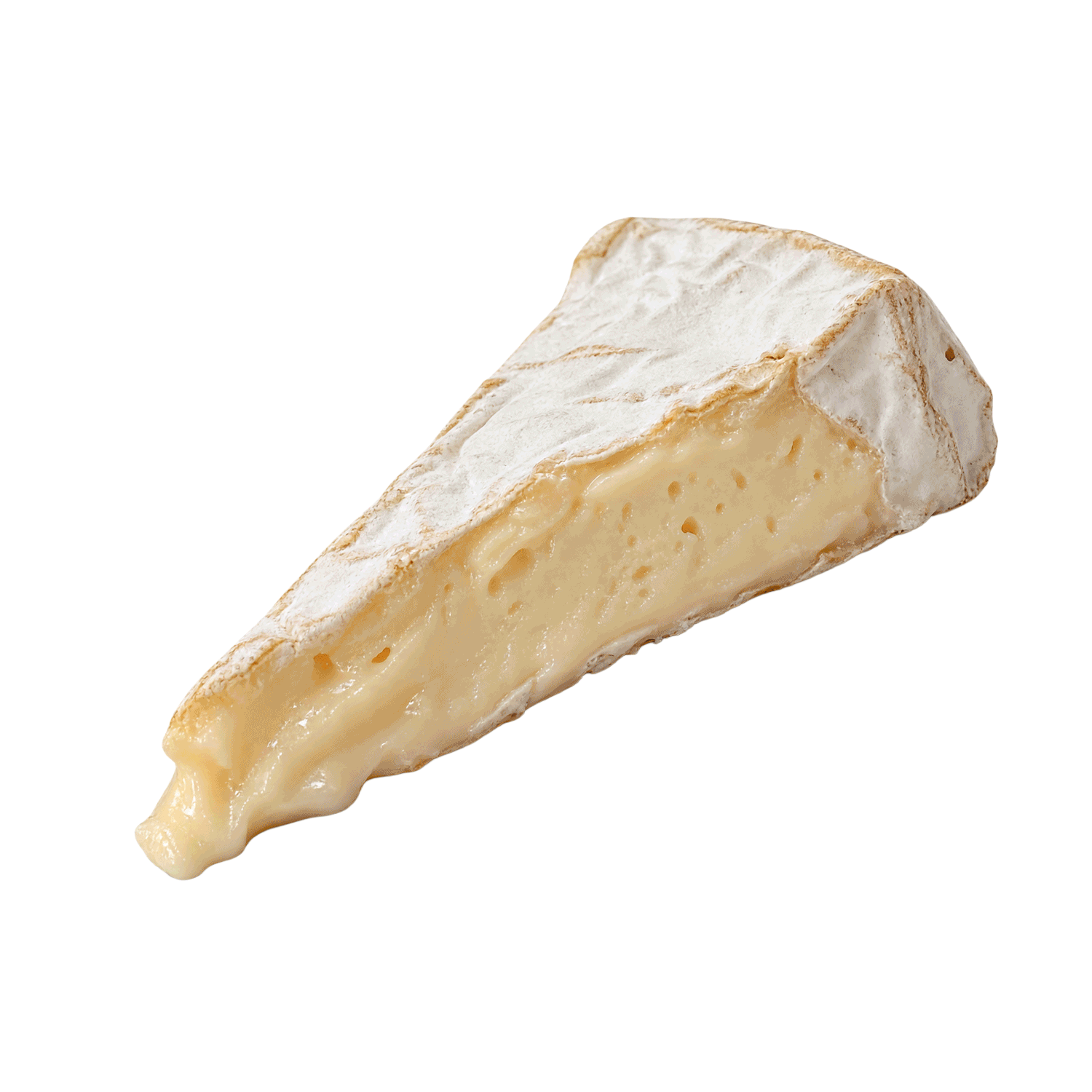 Cheese wedge animation